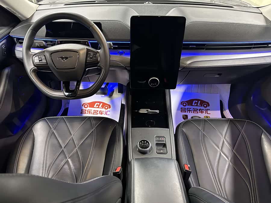 Ford Mustang Mach-E 2022 car image #13