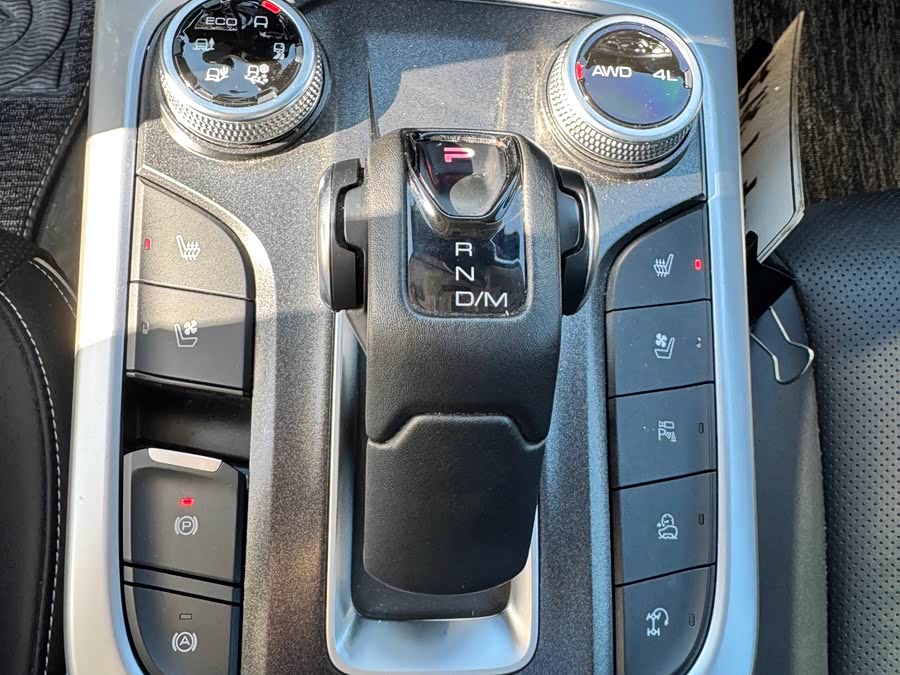 Tank 300 2022 car image #13