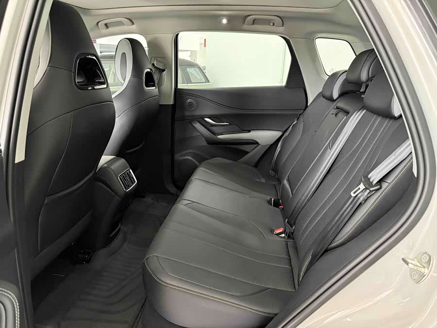 BYD Sea Lion 05 DM-i 2025 car image #13