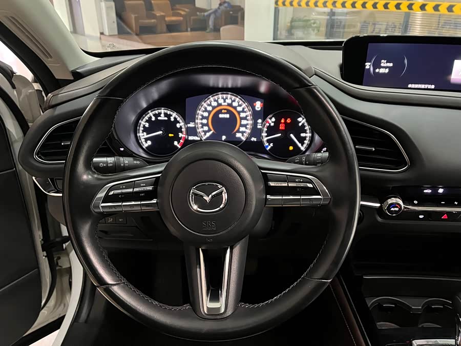 Mazda CX-30 2021 car image #13