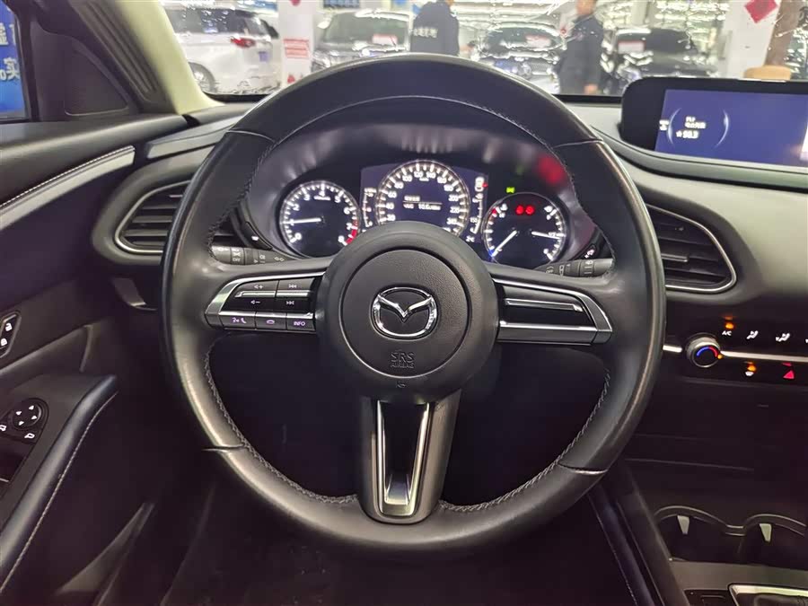 Mazda CX-30 2022 car image #13