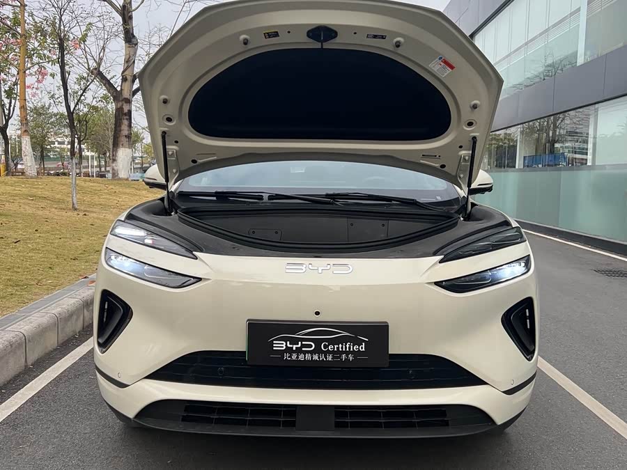 BYD Sea Lion 06 New Energy 2025 car image #13