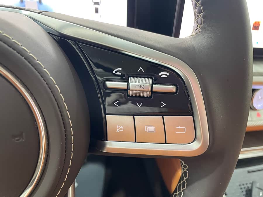 Tank 500 New Energy 2024 car image #13