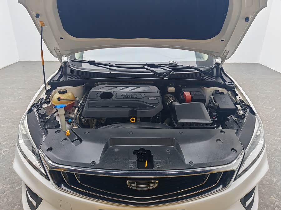 GEELY Binray 2020 #13 GEELY Binray 2020 car image #13