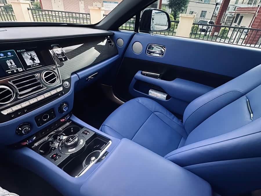 Denza Wraith 2020 immagine di auto #13