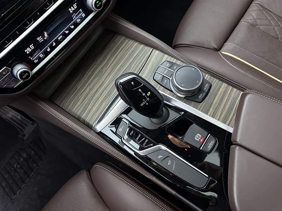 BMW 5 Series 2020 car image #13