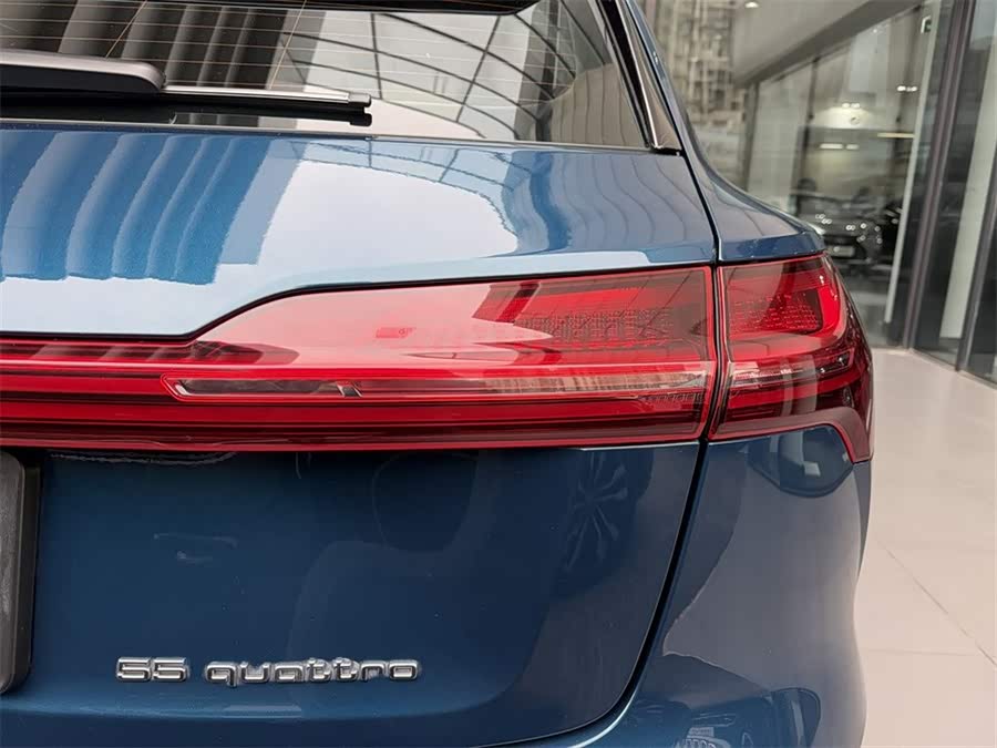 奥迪 奥迪e-tron(进口) 2021 汽车图片 #13