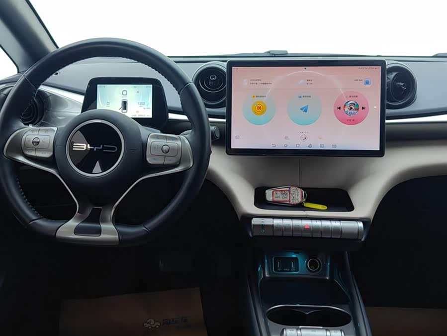 BYD Dolphin 2023 imagem de carro #13