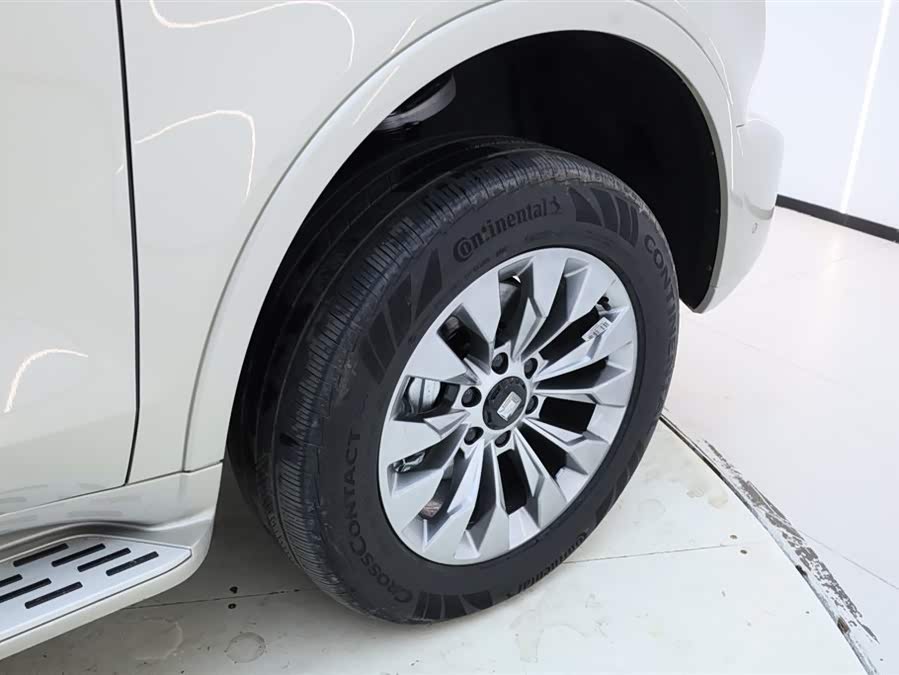 Tank 500 New Energy 2025 immagine di auto #13