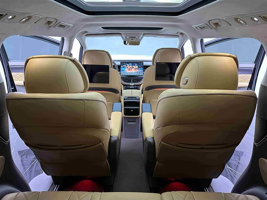 Denza D9 2023 immagine di auto #13