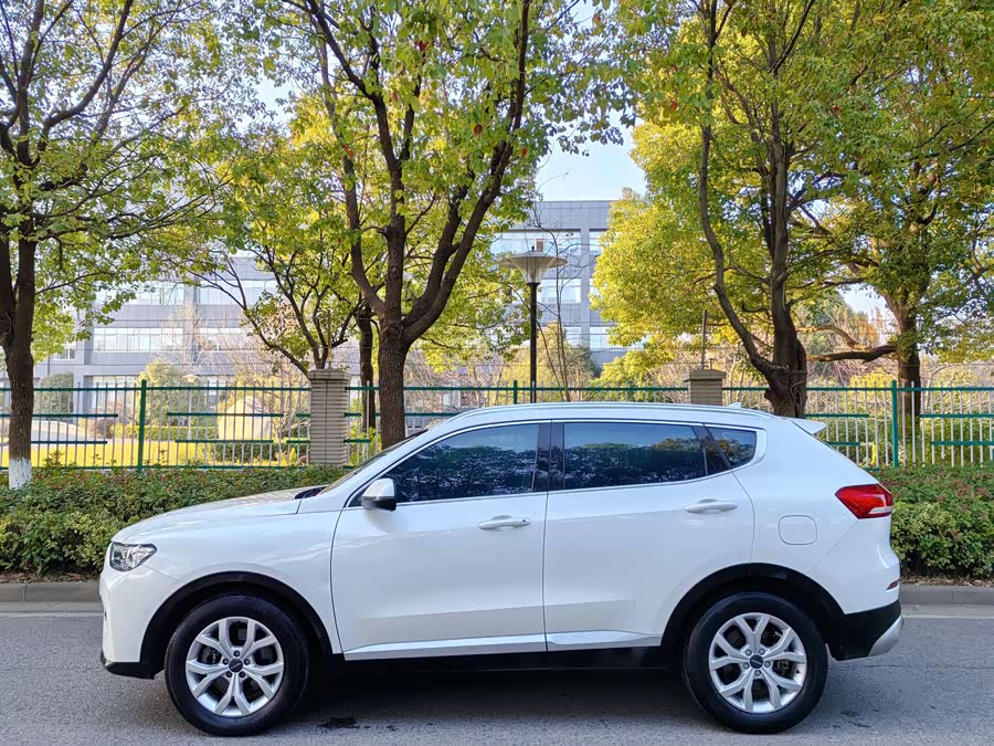 Haval H6 2020 car image #13