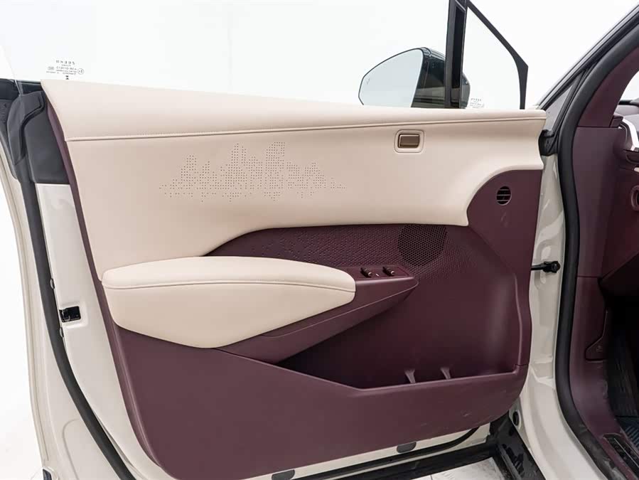 极氪 极氪X 2024 汽车图片 #13