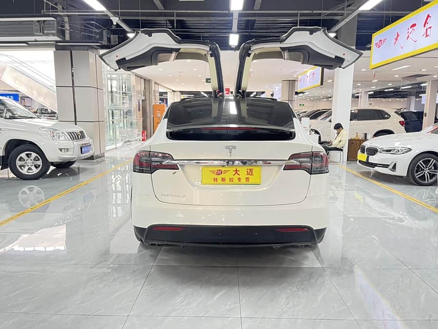 Tesla Model X 2018 car image #13