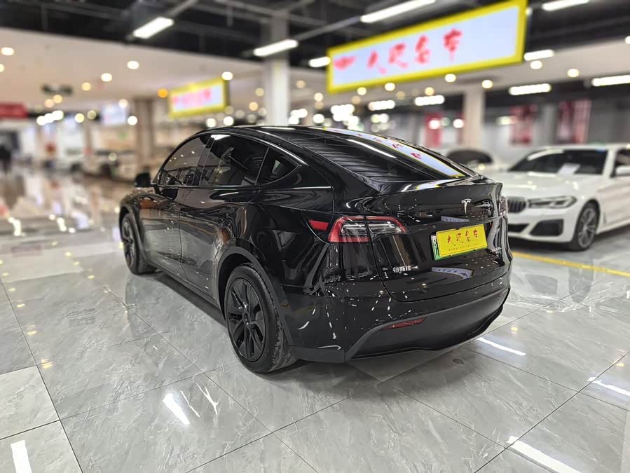 Tesla Model Y 2023 car image #13