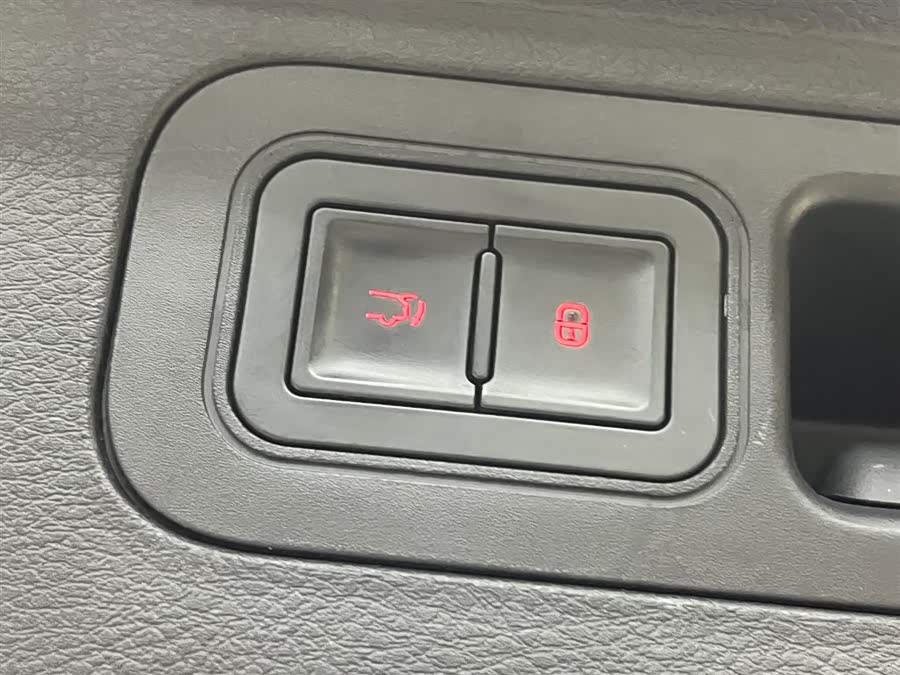 BYD Tang New Energy 2022 immagine di auto #13