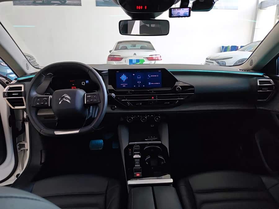 Citroen C5 X 2022 immagine di auto #13