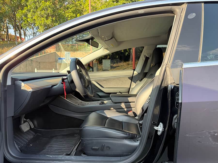 特斯拉 Model 3 2020 汽车图片 #13