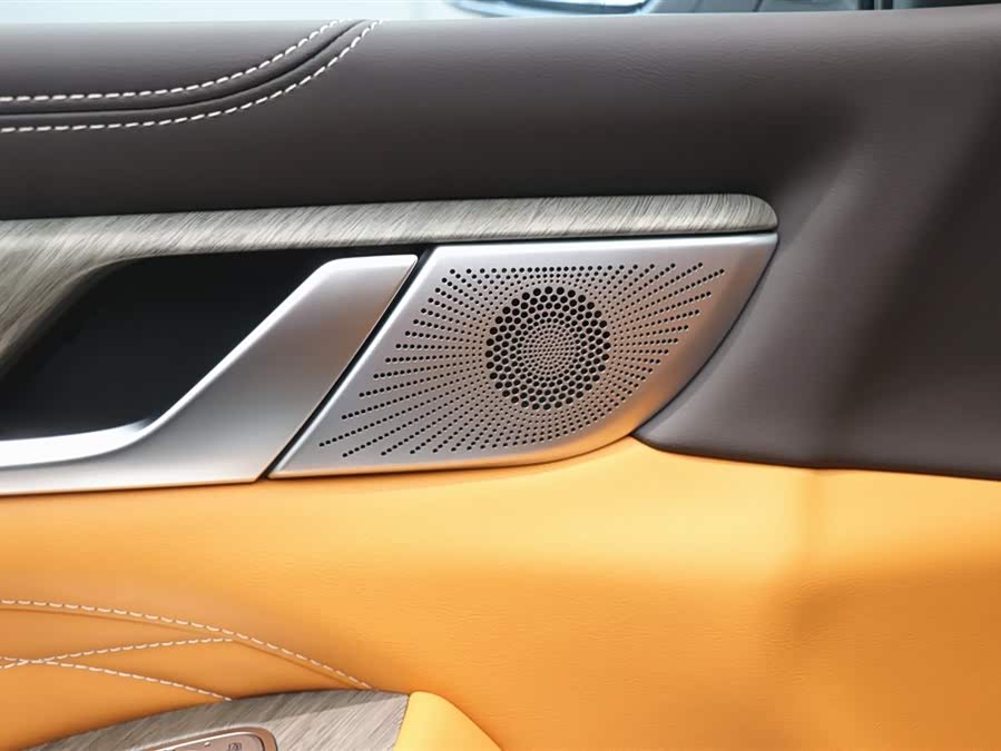 Tank 500 New Energy 2025 #13 Tank 500 New Energy 2025 car image #13