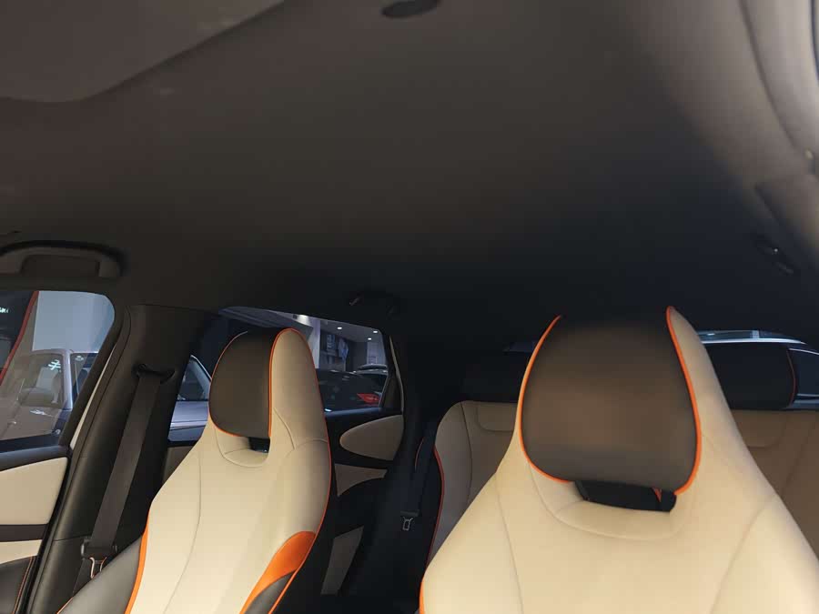 BYD Dolphin 2022 car image #13