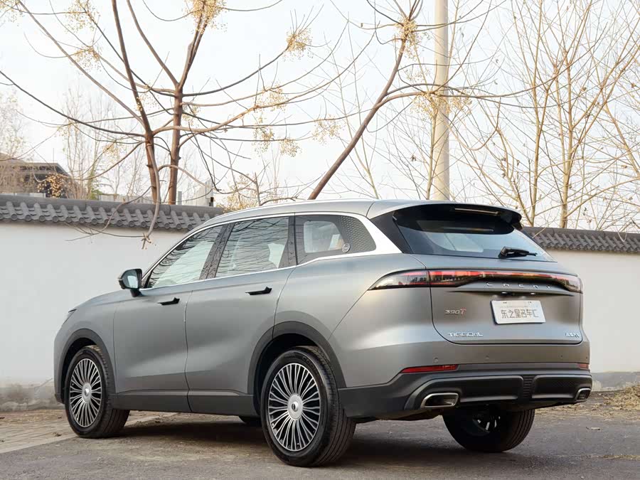 Chery Tiggo8L 2024 immagine di auto #13