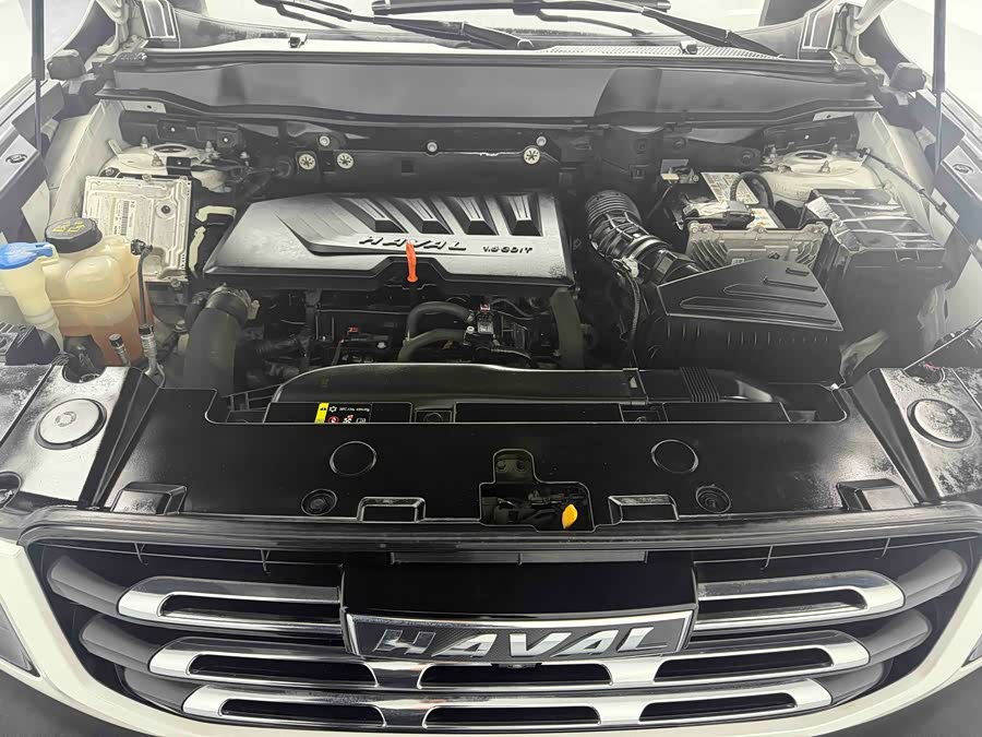 Haval X Dog / Dargo 2021 #13 Haval X Dog / Dargo 2021 car image #13