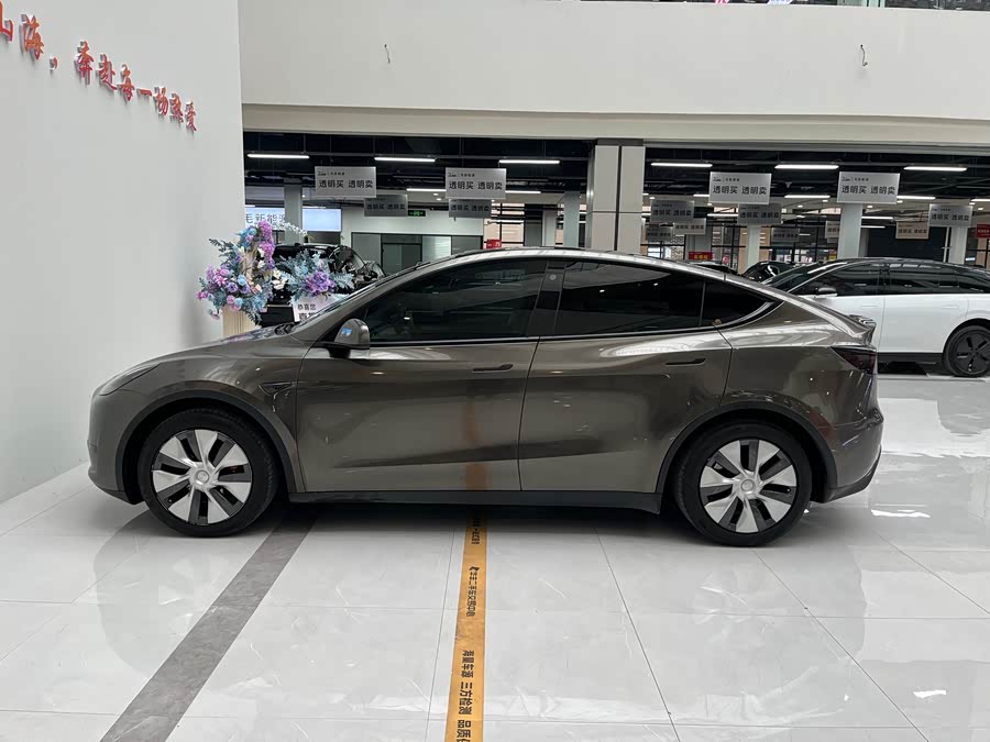 Tesla Model Y 2022 car image #13