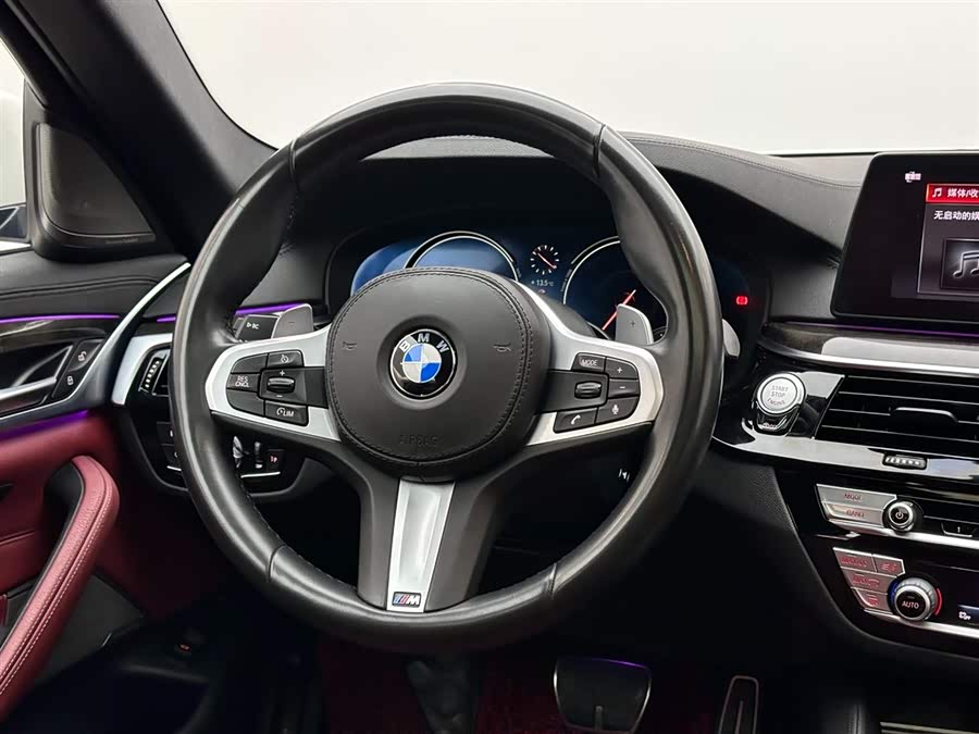 BMW 5 Series 2018 car image #13
