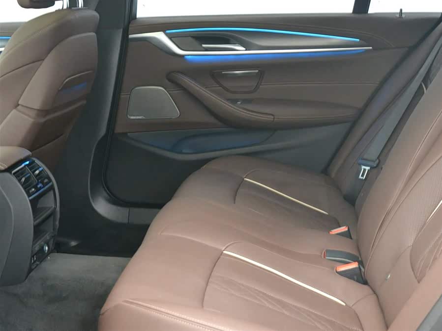 BMW 5 Series New Energy 2021 car image #13