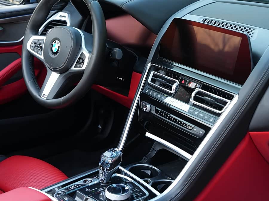 BMW 8 Series 2019 car image #13