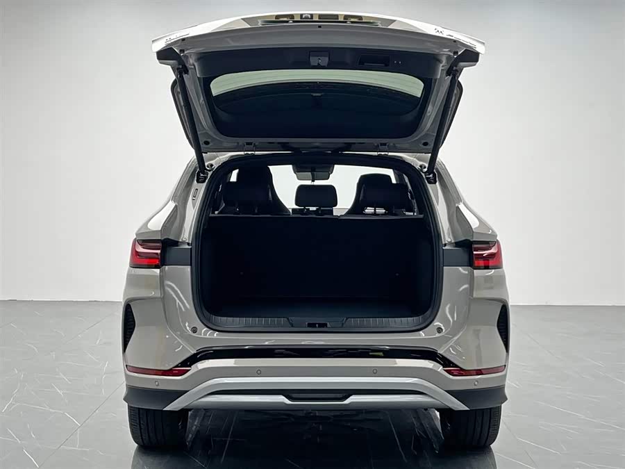 BYD Song Plus New Energy 2025 imagem de carro #13