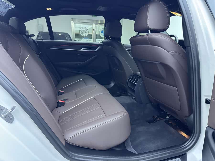 BMW 5 Series New Energy 2020 car image #13