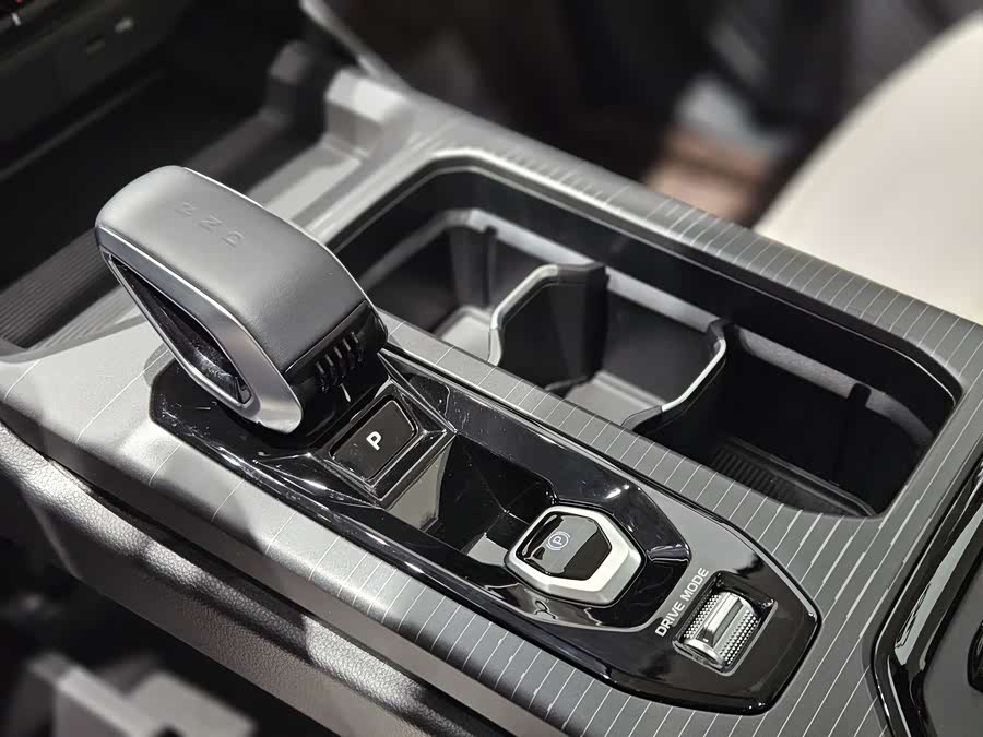 睿蓝汽车 睿蓝9 2024 汽车图片 #13