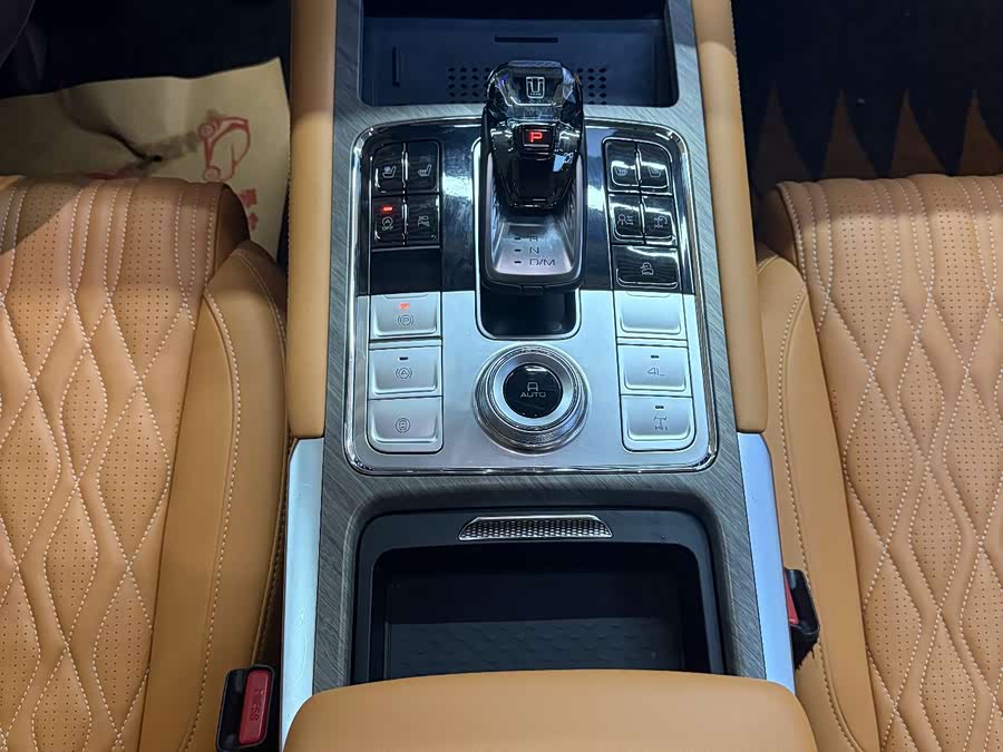 坦克 坦克500 2022 汽车图片 #13