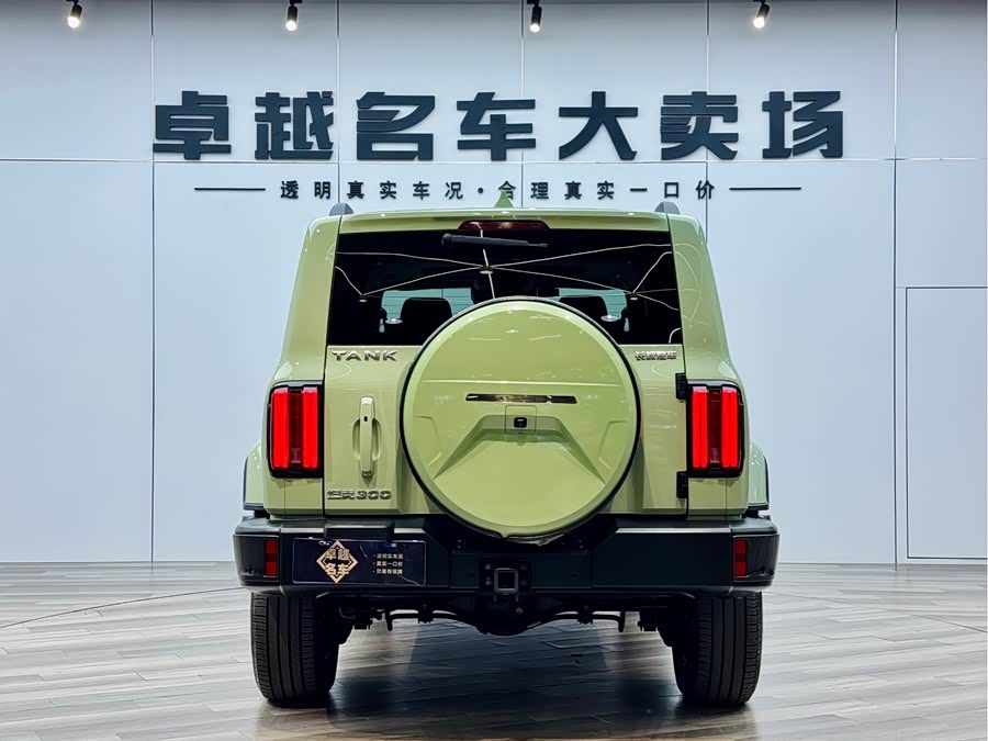 Tank 300 2022 #13 Tank 300 2022 imagen de coche #13