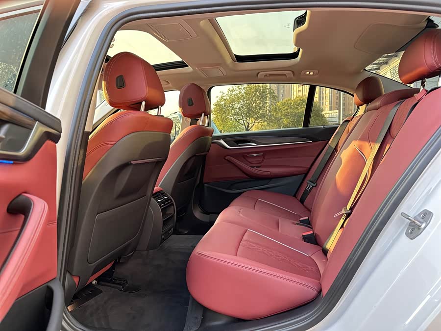 BMW 5 Series New Energy 2020 car image #13