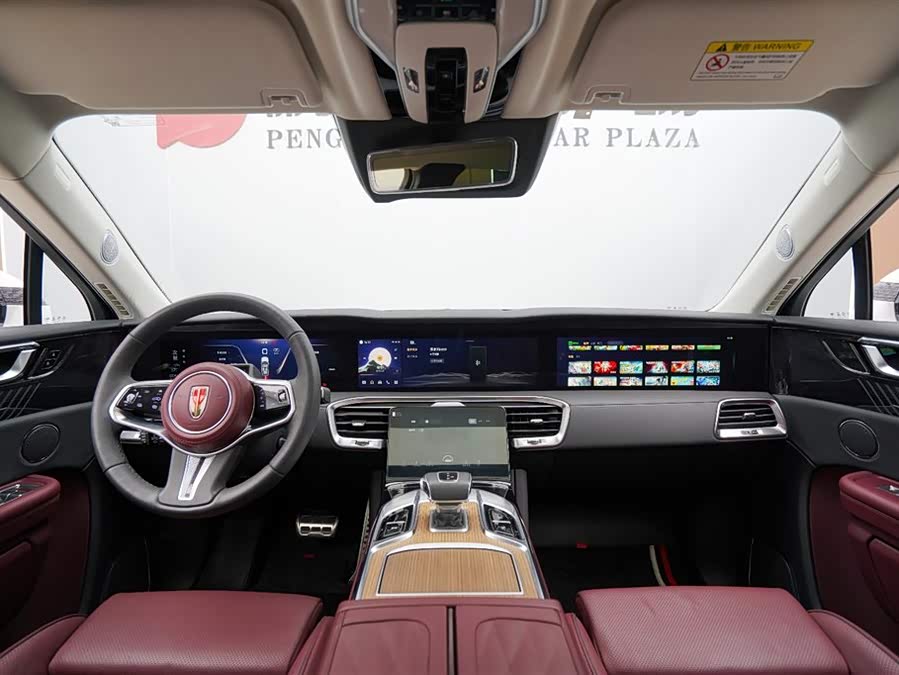 HongQi E-HS9 2022 immagine di auto #13