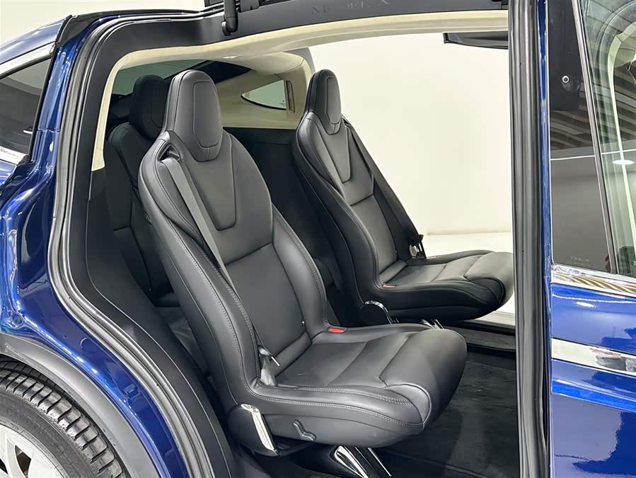 Tesla Model X 2018 car image #13