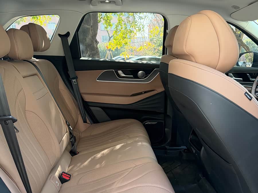 Chery Tiggo8L 2024 immagine di auto #13