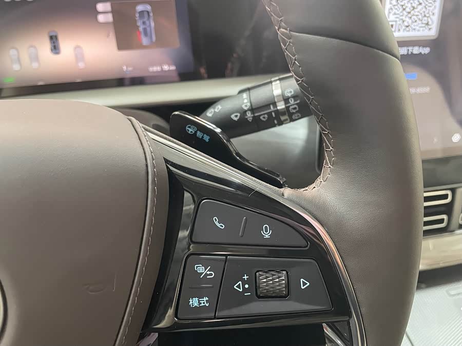 Denza D9 2025 imagen de coche #13