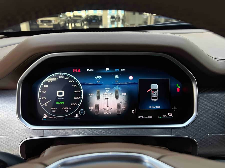 Tank 700 New Energy 2024 car image #13