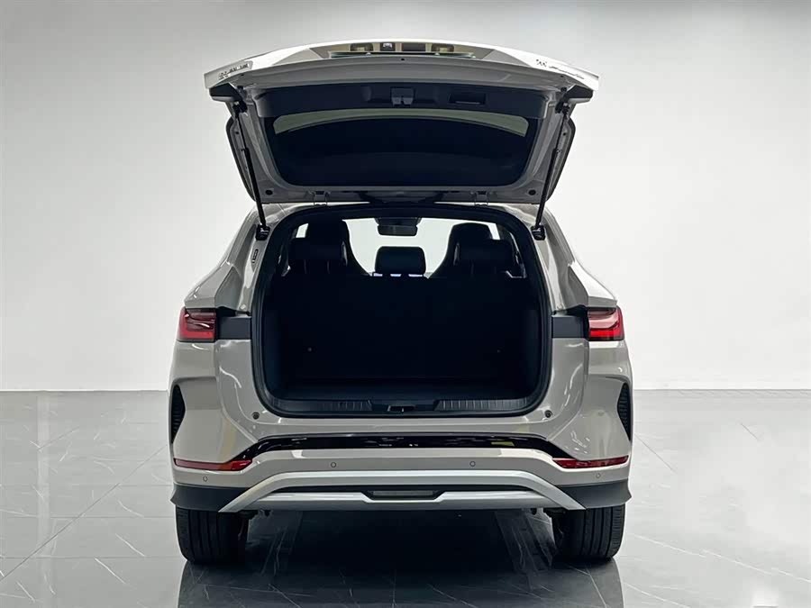 BYD Sea Lion 06 New Energy 2025 car image #13