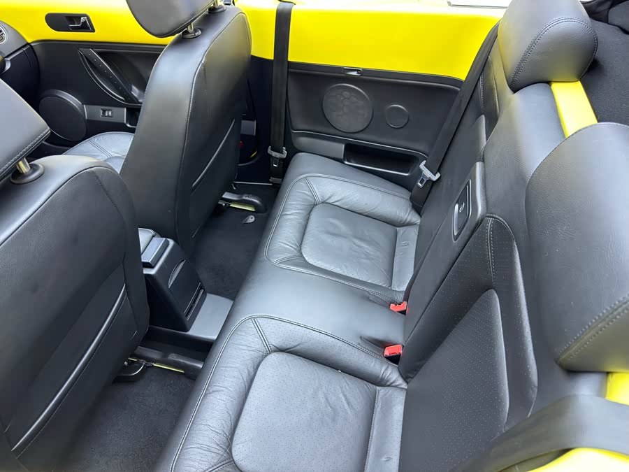 Volkswagen Beetle 2010 immagine di auto #13