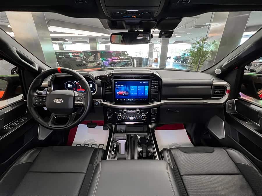 Ford F-150 Raptor 2024 car image #13