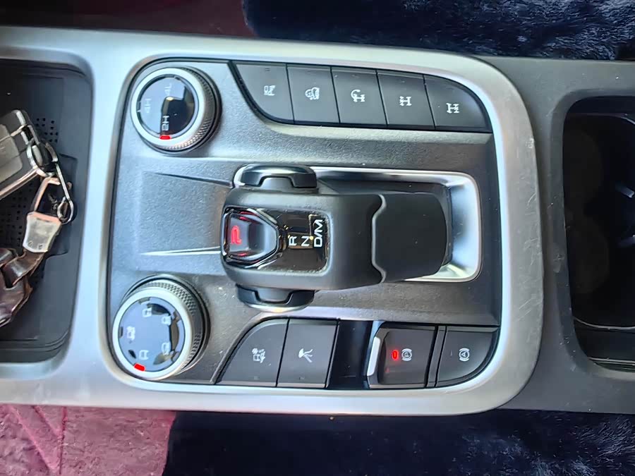 Tank 300 2024 car image #13