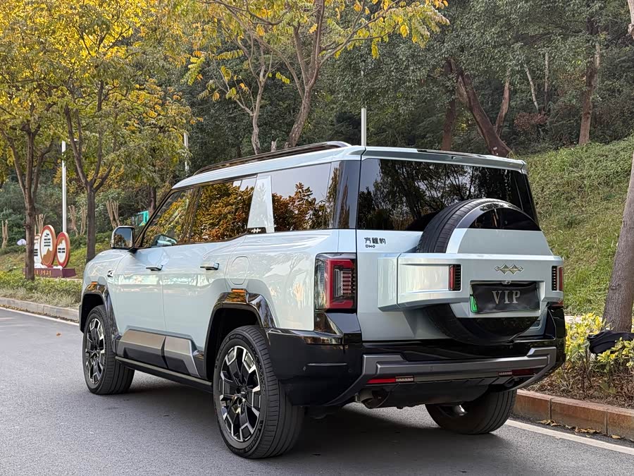 FangChengBao Leopard 8 2024 car image #13