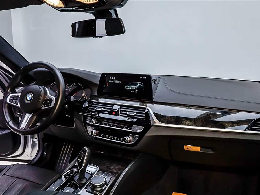 BMW 5 Series 2019 car image #13