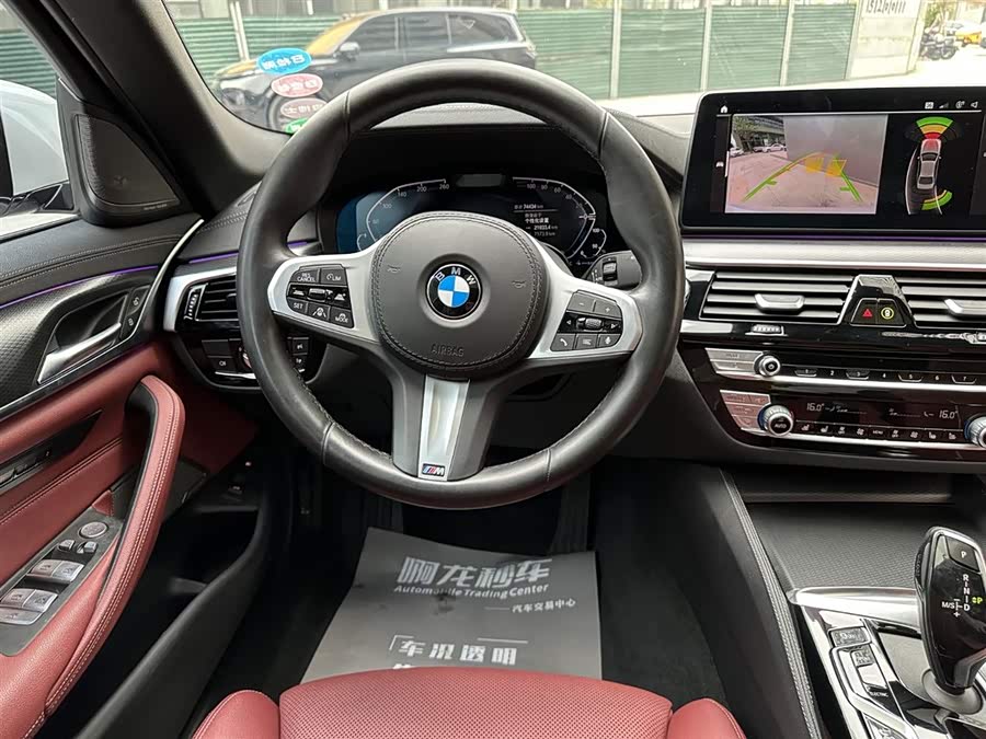 BMW 5 Series New Energy 2021 car image #13