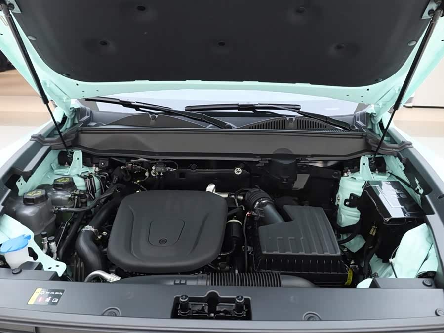 Haval Raptor New Energy 2025 car image #13