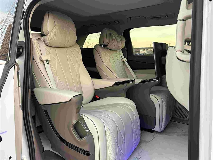 Denza D9 2023 immagine di auto #13