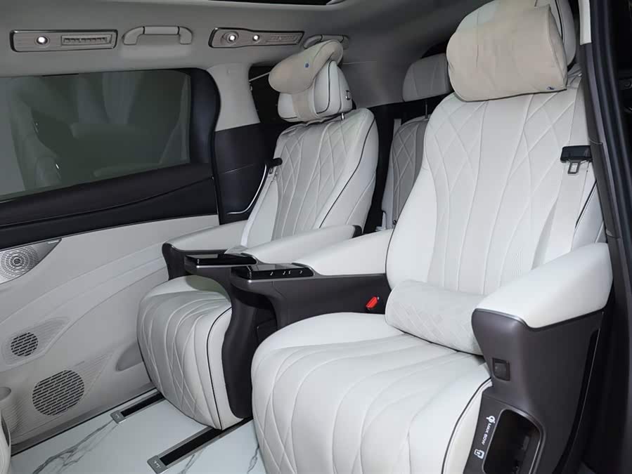 Denza D9 2024 car image #13